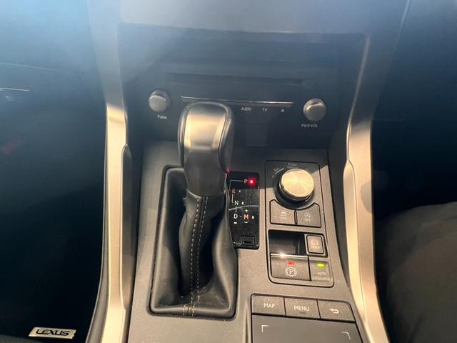 NX NX300 スパイス&シック シートベンチレーション パワーバックドア カラードフェンダーアーチモール(15枚目)