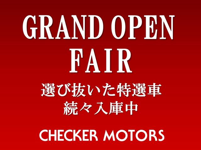 系列ディーラーデモカー ナビ レザーPKG(2枚目)