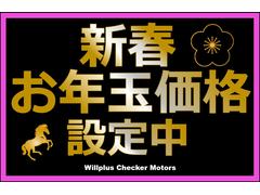 �������饤�� �������ǣԡ��ϥ��֥�åɡ������ףӣС��ܳץ��굡ǽ����ư�����ȡ����ꥢ��󥹥��ʡ� 9800394A30251009W001 3