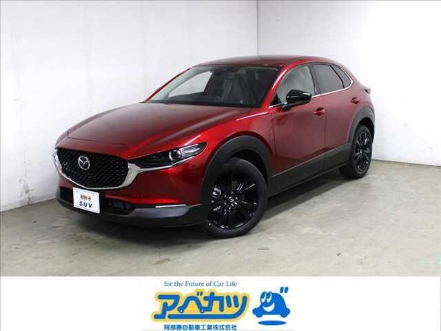 20S ブラックトーンエディション 20S BlackToneEdition 登録済未使用車 ナビTV(1枚目)