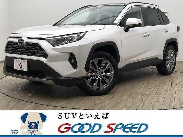 代引き手数料無料 RAV4 フロントドアベルトモール 左側単品 L トヨタ