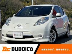 日産　リーフ　Ｇ（３０ｋｗｈ）　純正ナビ　フルセグＴＶ　Ｂカメラ