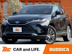 ϥꥢϥ֥å ȣ֡ڡ̥ͥʥӡʣ£̡