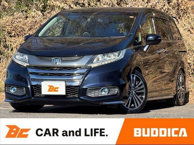 ǥå ֥롼ȡţءե륻ʥӡ̥ 0404410A20251213D002 1