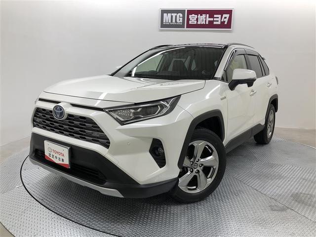 ＲＡＶ４(トヨタ) ハイブリッドＧ　衝突被害軽減システム　４ＷＤ　ナビ＆ＴＶ　バックカメラ　ＥＴＣ　サンルーフ 中古車画像