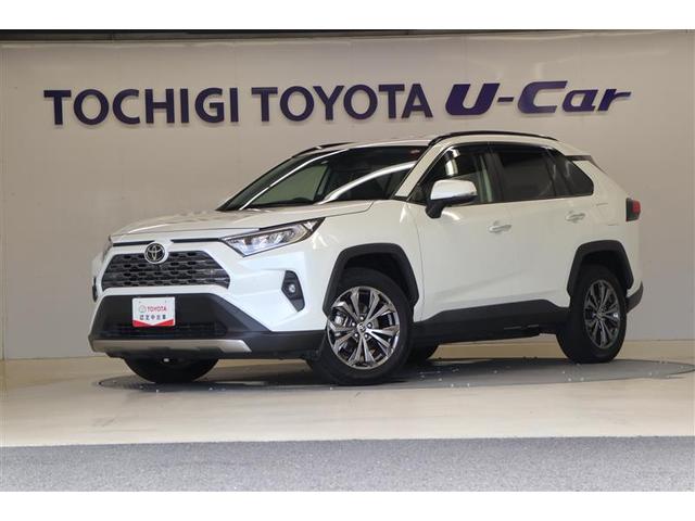 ＲＡＶ４ Ｇ　４ＷＤ　メモリーナビ　ＥＴＣ　バックカメラ　アルミホイール　フルセグ　オートクルーズコントロール　１００Ｖ電源　衝突防止システム　ＬＥＤヘッドランプ　スマートキー　パワーシート　盗難防止システム