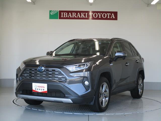 トヨタ ＲＡＶ４ ハイブリッドＧ　４ＷＤ　メモリーナビ　バックカメラ