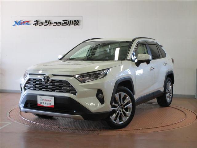 ＲＡＶ４ Ｇ　Ｚパッケージ　４ＷＤ　フルセグ　メモリーナビ　ＤＶＤ再生　バックカメラ　衝突被害軽減システム　ＥＴＣ　ＬＥＤヘッドランプ　ワンオーナー　アルミホイール　オートクルーズコントロール　寒冷地仕様　スマートキー