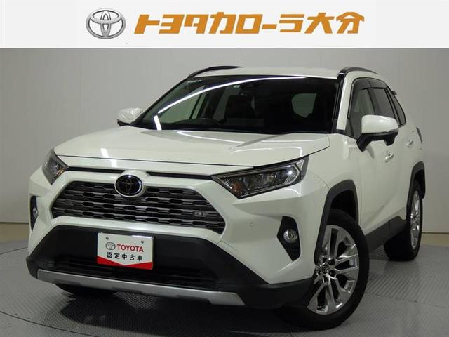 ＲＡＶ４ Ｇ　Ｚパッケージ　４ＷＤ　フルセグ　メモリーナビ　ＤＶＤ再生　バックカメラ　衝突被害軽減システム　ＥＴＣ　ＬＥＤヘッドランプ　記録簿　盗難防止装置　アルミホイール　ＣＤ　電動シート　スマートキー　フル装備　エアバッグ