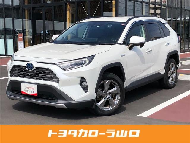 トヨタ ＲＡＶ４ ハイブリッドＧ　４ＷＤ　フルセグ　メモリーナビ　ＤＶＤ再生　バックカメラ　衝突被害軽減システム　ＥＴＣ　ドラレコ　ＬＥＤヘッドランプ　ワンオーナー　記録簿