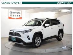 トヨタ　ＲＡＶ４　ハイブリッドＧ　４ＷＤ　フルセグ　メモリーナビ