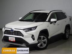 トヨタ　ＲＡＶ４　ハイブリッドＧ　４ＷＤ　フルセグ　メモリーナビ