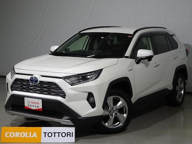 トヨタ ＲＡＶ４ ハイブリッドＧ　トヨタ認定中古車　１年間保証付　４ＷＤ　フルセグ　メモリーナビ　ＤＶＤ再生　バックカメラ　衝突被害軽減システム　クルーズコントロール　ＥＴＣ　ドラレコ　スマートキー　ＬＥＤヘッドランプ　純正アルミ