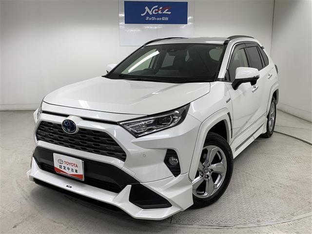 トヨタ ＲＡＶ４ ハイブリッドＧ　４ＷＤ　フルセグ　メモリーナビ