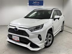 トヨタ　ＲＡＶ４　ハイブリッドＧ　４ＷＤ　フルセグ　メモリーナビ