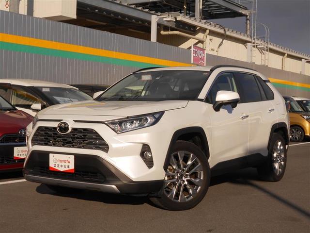 ＲＡＶ４(トヨタ) Ｇ　Ｚパッケージ　４ＷＤ　フルセグ　メモリーナビ　ＤＶＤ再生　バックカメラ 中古車画像