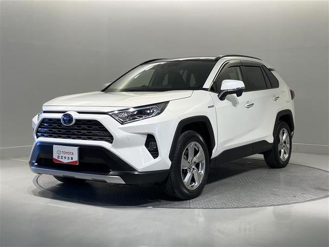 トヨタ ＲＡＶ４ ハイブリッドＧ　キーレスエントリー　パノラマサンルーフ　リアカメラ　ＬＥＤヘッド　オートクルーズ　フルセグテレビ　横滑り防止　ワンオーナー車　４ＷＤ　メモリ－ナビ　ＥＴＣ　アルミホイール　スマートキー　ＡＢＳ