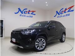 トヨタ　ＲＡＶ４　Ｇ　Ｚパッケージ　９型純正ナビ　フルセグＴＶ