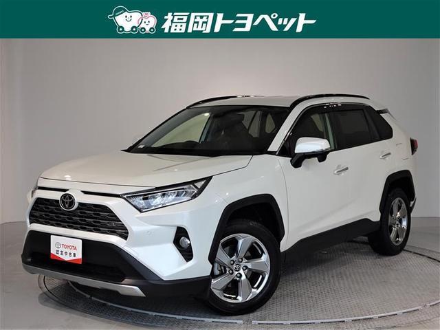 ＲＡＶ４(トヨタ) Ｇ　メモリーナビ　ナビ＆ＴＶ　フルセグ　バックカメラ　ＥＴＣ　ＬＥＤヘッドランプ 中古車画像