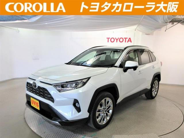 ＲＡＶ４ Ｇ　Ｚパッケージ　４ＷＤ　フルセグ　メモリーナビ　ＤＶＤ再生　バックカメラ　衝突被害軽減システム　ＥＴＣ　ＬＥＤヘッドランプ　ワンオーナー