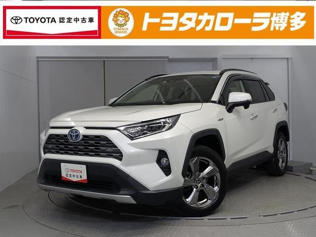 ＲＡＶ４ ハイブリッドＧ　キーレスエントリー　リアカメラ　ＬＥＤヘッド　オートクルーズ　フルセグテレビ　電動パワーシート　横滑り防止　ワンオーナー車　イモビ　４ＷＤ　メモリ－ナビ　ＥＴＣ　アルミホイール　スマートキー　ＡＢＳ（1枚目）