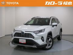 トヨタ　ＲＡＶ４　ハイブリッドＧ　４ＷＤ　フルセグ　メモリーナビ