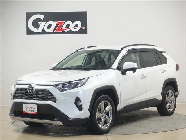 トヨタ ＲＡＶ４ Ｇ　４ＷＤ　フルセグ　メモリーナビ　ＤＶＤ再生　ミュージックプレイヤー接続可　バックカメラ　衝突被害軽減システム　ＥＴＣ　ＬＥＤヘッドランプ　ワンオーナー　記録簿