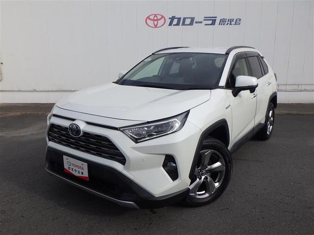 トヨタ ＲＡＶ４ ハイブリッドＧ　４ＷＤ　フルセグ　メモリーナビ