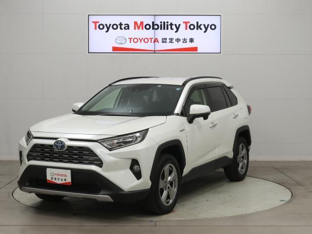 ＲＡＶ４(トヨタ) ハイブリッドＧ　バックカメラ付き　寒冷地仕様　ＬＥＤライト　１オーナー　横滑り防止機能　Ｐシート 中古車画像