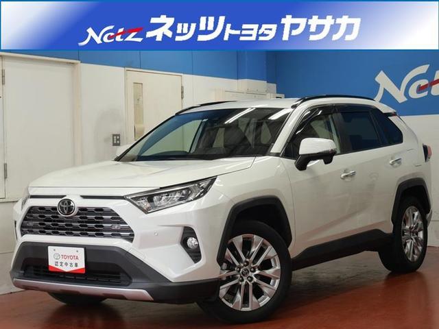 トヨタ ＲＡＶ４ Ｇ　Ｚパッケージ　４ＷＤ　フルセグ　メモリーナビ　ＤＶＤ再生　ミュージックプレイヤー接続可　バックカメラ　衝突被害軽減システム　ＥＴＣ　ドラレコ　ＬＥＤヘッドランプ　ワンオーナー