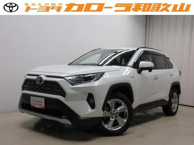 トヨタ ＲＡＶ４ ハイブリッドＧ　４ＷＤ　フルセグ　メモリーナビ　ＤＶＤ再生　バックカメラ　衝突被害軽減システム　ＥＴＣ　ドラレコ　ＬＥＤヘッドランプ