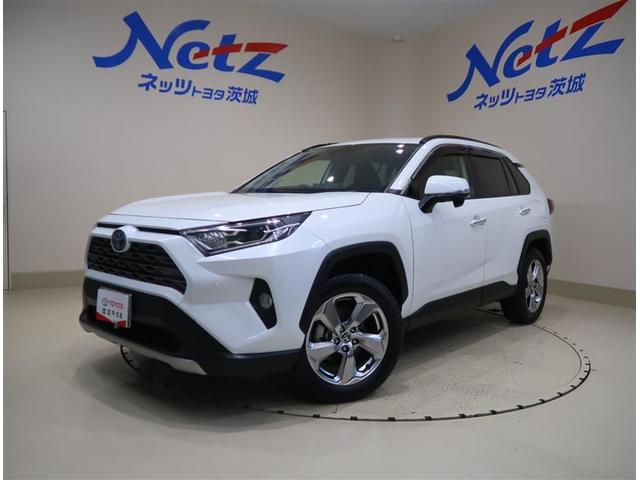 トヨタ ＲＡＶ４ ハイブリッドＧ　Aftermarketナビ　フルセグＴＶ　バックモニター