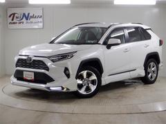 トヨタ　ＲＡＶ４　ハイブリッドＧ　４ＷＤ　フルセグ　メモリーナビ