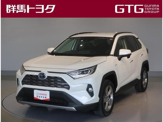 ＲＡＶ４ ハイブリッドＧ　４ＷＤ　フルセグ　メモリーナビ　ＤＶＤ再生　バックカメラ　衝突被害軽減システム　ＥＴＣ　ＬＥＤヘッドランプ　ワンオーナー　記録簿