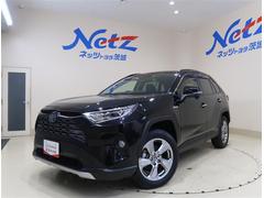 トヨタ　ＲＡＶ４　ハイブリッドＧ　９型純正ナビ　フルセグＴＶ　ブルートゥース