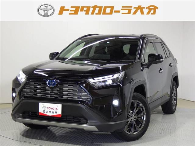 ＲＡＶ４(トヨタ) ハイブリッドＧ　フルセグ　メモリーナビ　ミュージックプレイヤー接続可　バックカメラ　衝突被害軽減システム　ＥＴＣ 中古車画像