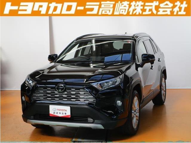 ＲＡＶ４(トヨタ) Ｇ　Ｚパッケージ　４ＷＤ　９インチナビ　フルセグＴＶ　ＤＶＤ再生　バックカメラ 中古車画像