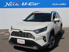 トヨタ　ＲＡＶ４　ハイブリッドＧ　４ＷＤ　フルセグ　メモリーナビ