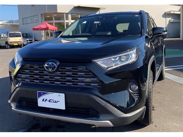 トヨタ ＲＡＶ４ ハイブリッドＧ　４ＷＤ　フルセグ　メモリーナビ