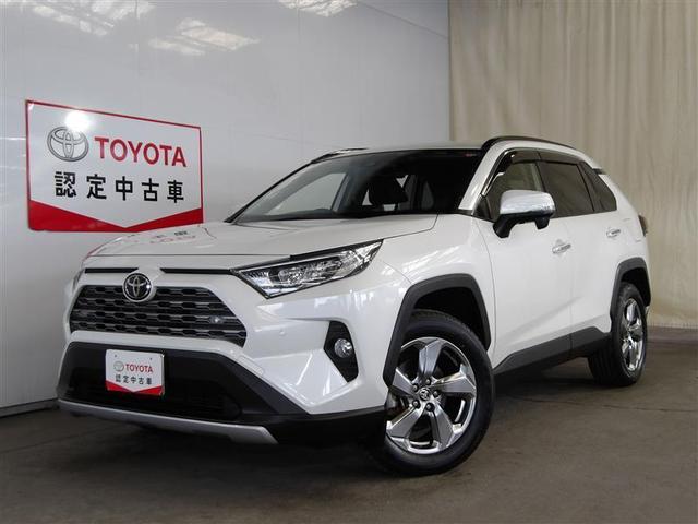 ＲＡＶ４(トヨタ) Ｇ　ＥＳＣ　ＡＣ１００Ｖ　地デジ　ＬＥＤヘッドライト　１オナ　Ｂカメラ 中古車画像