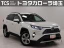 ＲＡＶ４ ハイブリッドＧ　４ＷＤ　寒冷地仕様　９インチＴＣナビ　フルセグＴＶ　ＣＤ　ＤＶＤ再生　ブルートゥース接続　バックモニター　ＥＴＣ２．０　アダプティブクルコン　ＢＳＭ　ＲＣＴＡ　ＡＣ１００Ｖ電源　純正ＡＷ　バックフォグ（1枚目）