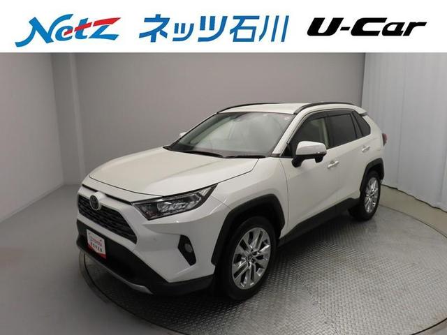 ＲＡＶ４ Ｇ　Ｚパッケージ　４ＷＤ　フルセグ　メモリーナビ　ＤＶＤ再生　バックカメラ　衝突被害軽減システム　ＥＴＣ　ドラレコ　ＬＥＤヘッドランプ　ワンオーナー　記録簿（1枚目）