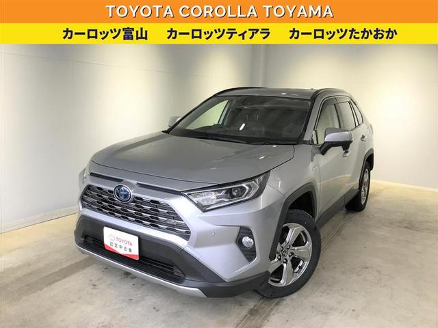 トヨタ ＲＡＶ４ ハイブリッドＧ　４ＷＤ　フルセグ　メモリーナビ　ＤＶＤ再生　バックカメラ　衝突被害軽減システム　ＥＴＣ　ドラレコ　ＬＥＤヘッドランプ　先進ライト