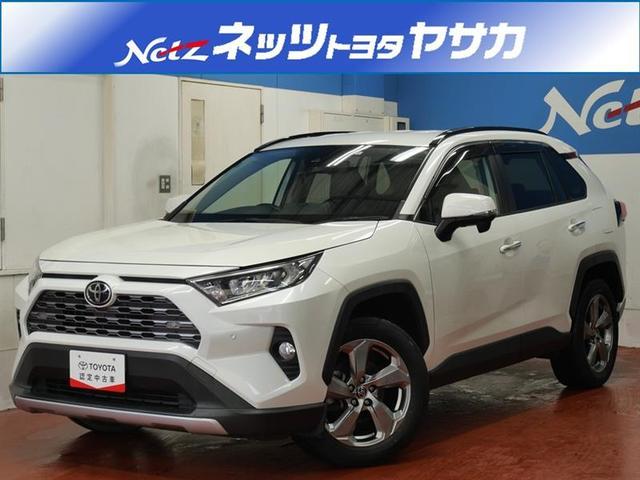 ＲＡＶ４(トヨタ) Ｇ　４ＷＤ　フルセグ　メモリーナビ　ＤＶＤ再生　ミュージックプレイヤー接続可　バックカメラ 中古車画像