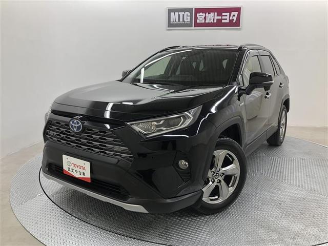 トヨタ ＲＡＶ４ ハイブリッドＧ　衝突被害軽減システム　４ＷＤ　ナビ＆ＴＶ　バックカメラ　ＥＴＣ　アルミホイール　ハイブリッド　オートクルーズコントロール　ＬＥＤヘッドランプ　ワンオーナー