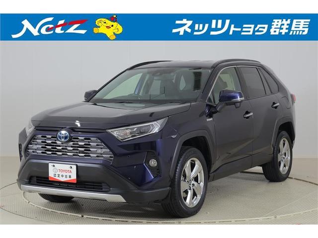 トヨタ ＲＡＶ４ ハイブリッドＧ　横滑り防止機能　ＬＥＤヘッド　ワンオーナー車　Ｂモニター　Ｐシート　盗難防止装置　オートクルーズ　４ＷＤ　定期点検記録簿　キーレスエントリー　メモリ－ナビ　ＥＴＣ　エアバッグ　アルミホイール　ＡＢＳ