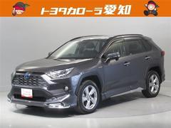 トヨタ　ＲＡＶ４　ハイブリッドＧ　衝突被害軽減システム　メモリーナビ　フルセグ