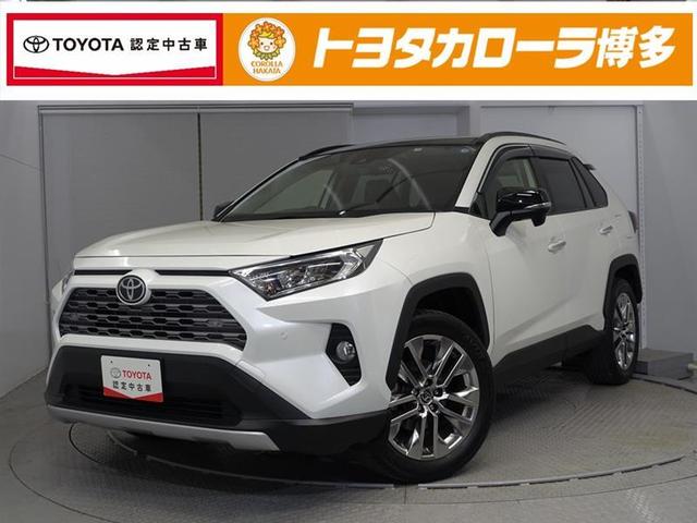 トヨタ ＲＡＶ４ Ｇ　Ｚパッケージ　ダブルサンルーフ　パワーウィンド　運転席助手席エアバック　パワーシート　ＬＥＤヘッドライト　ＤＶＤ再生可　ナビ＆ＴＶ　メモリ－ナビ　フルタイム４ＷＤ　ドライブレコーダー　スマートキー　盗難防止システム