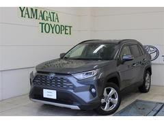 トヨタ　ＲＡＶ４　ハイブリッドＧ　４ＷＤ　フルセグ　メモリーナビ