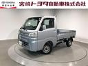 TOYOTA PIXIS TRUCK